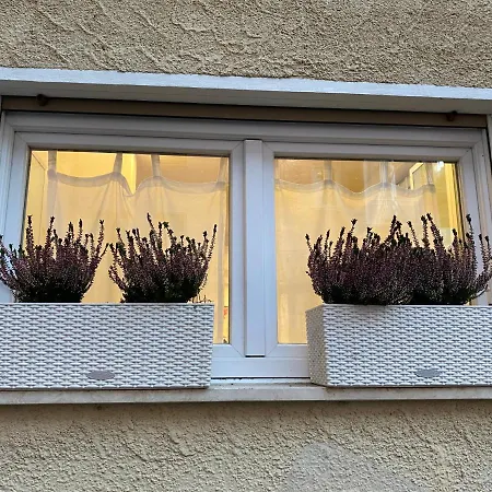 Samy S 1 Free Parking Wi-fi *